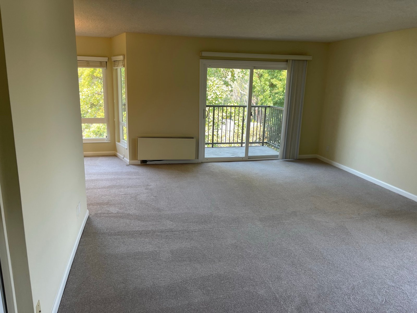 Empty living room cleaned